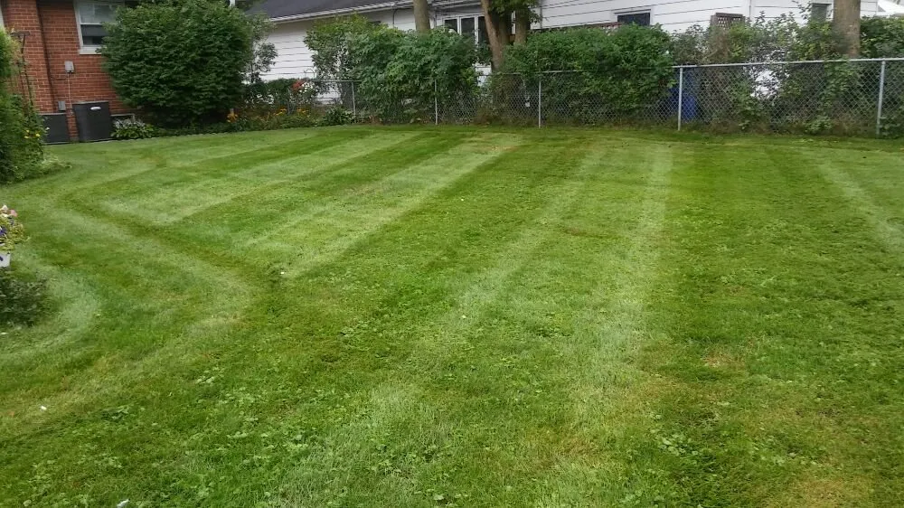 Custom yard maintenance experts serving Des Plaines, IL - Bartolo Lawn Care