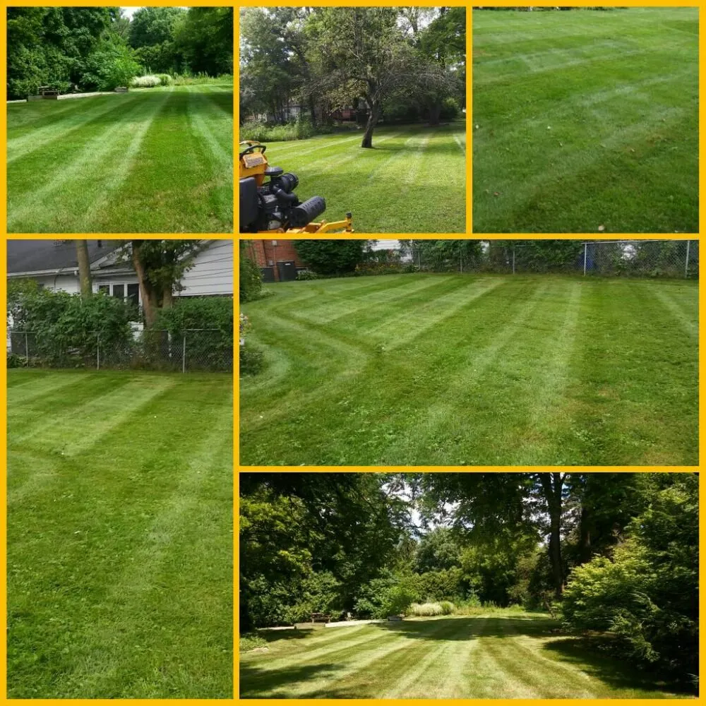 Professional lawn care service in Des Plaines, IL - Bartolo Lawn Care