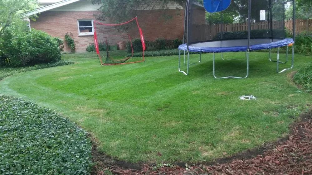 Local lawn mowing service in Des Plaines, IL by Bartolo Lawn Care