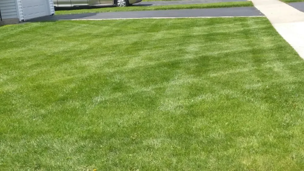 Affordable lawn care service experts serving Des Plaines, IL - Bartolo Lawn Care