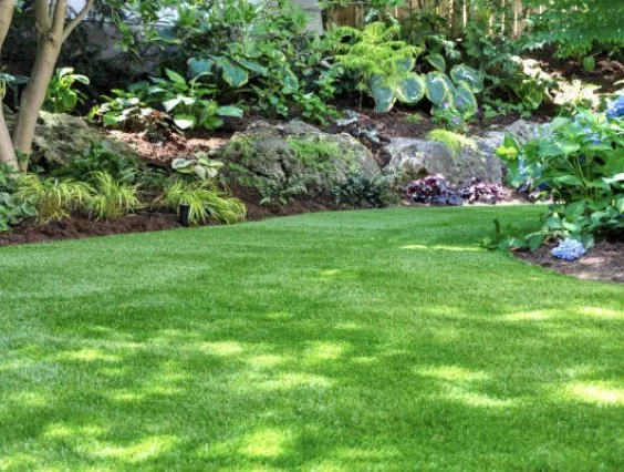 Local yard cleanup service in Lantana, FL by Bartolome Perez Landscaping And Painting