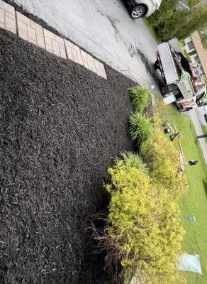 Bartolomeo Landscaping Logo