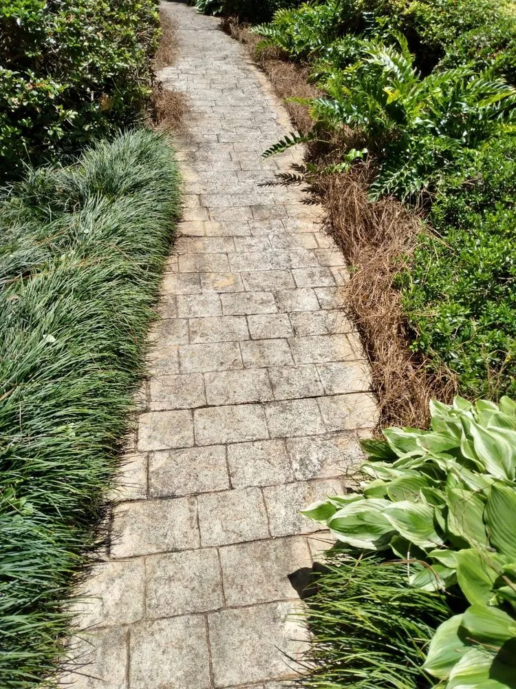 Professional landscape installation for beautiful yards in Montgomery, AL by Bartolon Landscaping & Tree Service