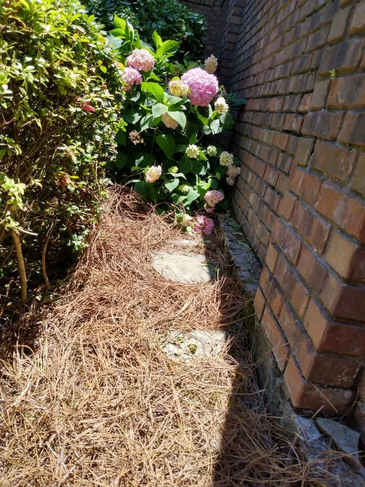 Top-rated landscape design experts serving Montgomery, AL - Bartolon Landscaping & Tree Service