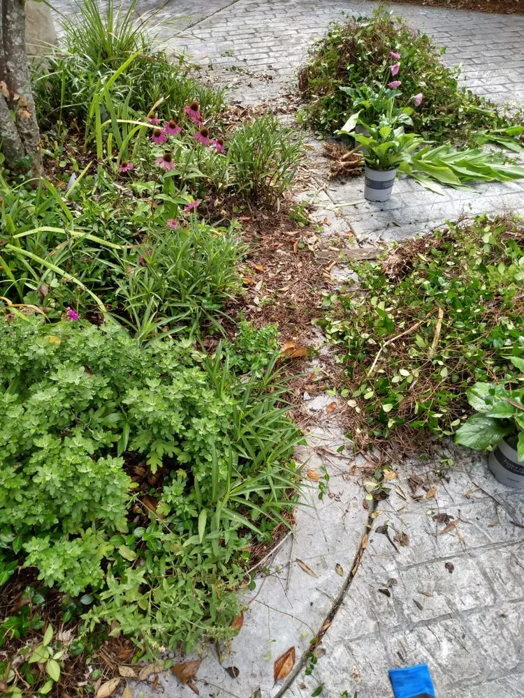 Trusted residential landscaping near you across Montgomery, AL - Bartolon Landscaping & Tree Service