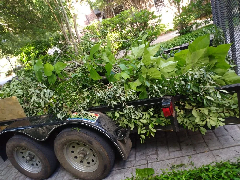 Expert outdoor landscaping for beautiful yards across Montgomery, AL - Bartolon Landscaping & Tree Service