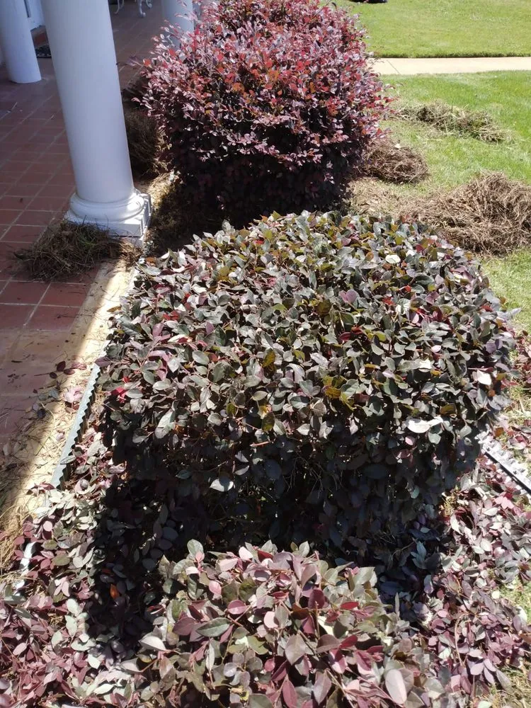 Reliable landscape design in Montgomery, AL by Bartolon Landscaping & Tree Service