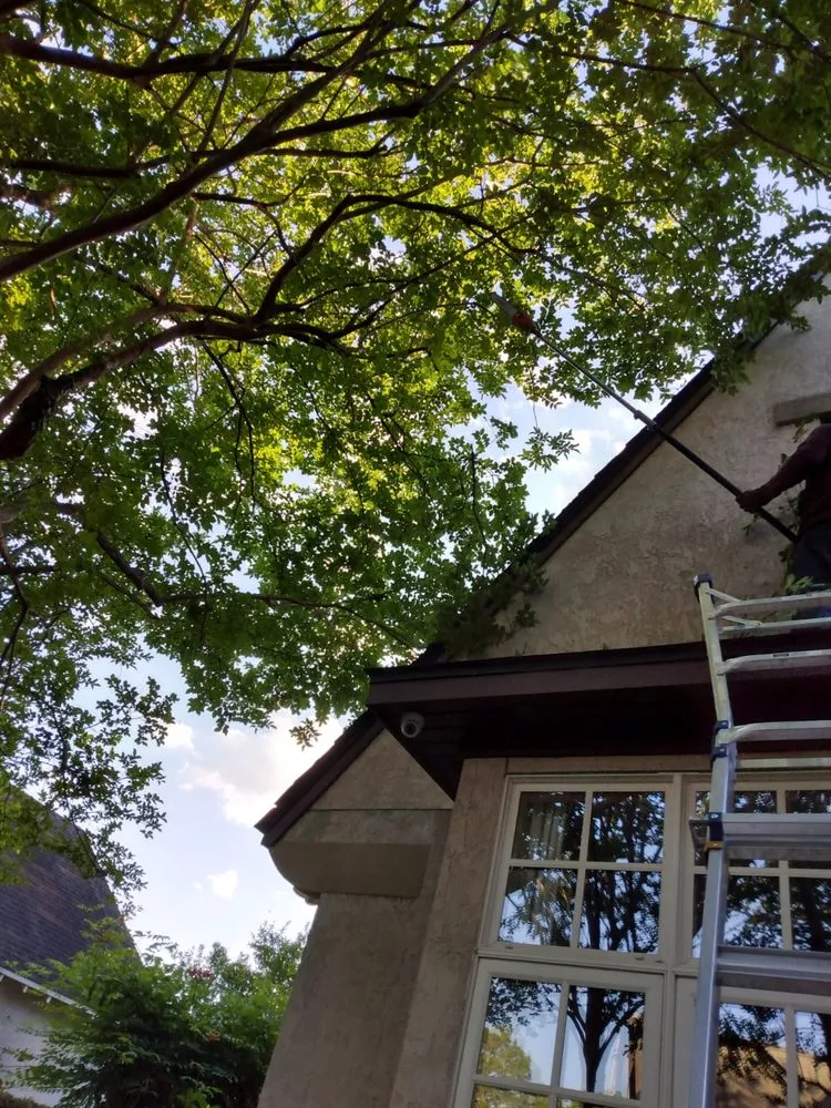 Professional yard cleanup service in Montgomery, AL by Bartolon Landscaping & Tree Service