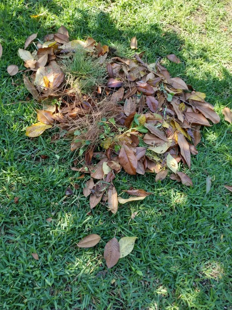 Trusted garden landscaping in Montgomery, AL - Bartolon Landscaping & Tree Service