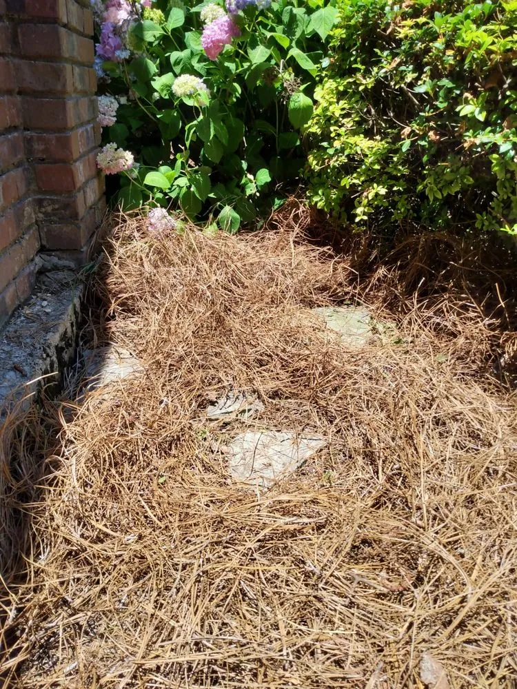 Trusted landscaping services in Montgomery, AL by Bartolon Landscaping & Tree Service