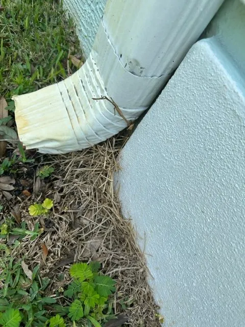 Affordable garden landscaping near you across Ormond Beach, FL - Barton & Barton