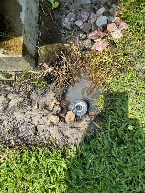 Affordable landscape design in Ormond Beach, FL by Barton & Barton