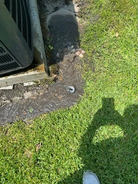 Professional lawn care service experts serving Ormond Beach, FL - Barton & Barton