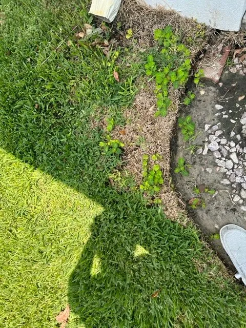 Reliable lawn care service for outdoor upgrades in Ormond Beach, FL by Barton & Barton