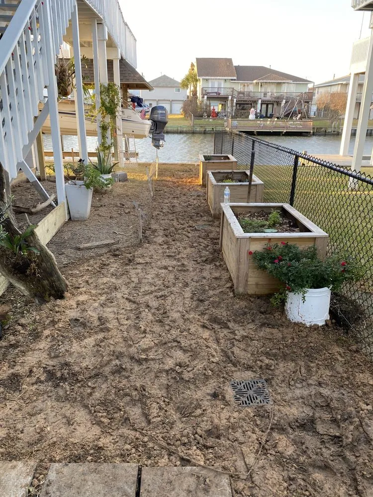 Trusted landscaping services for year-round maintenance in Texas City, TX by Barton Services