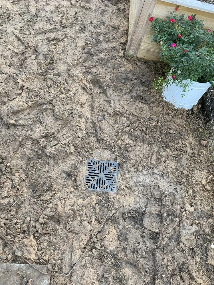 Affordable yard maintenance experts serving Texas City, TX - Barton Services