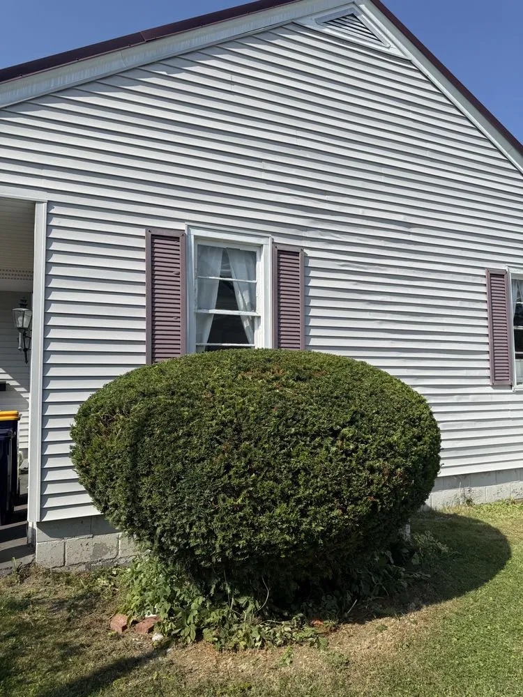 Expert landscaping services in Clinton, NY by Barton’s Lawn Care