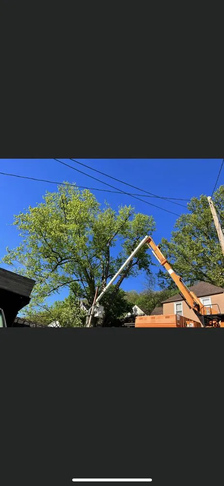 Custom yard maintenance in Kittanning, PA - Barton's Tree and Property Care