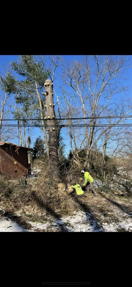 Custom lawn mowing service experts serving Kittanning, PA - Barton's Tree and Property Care