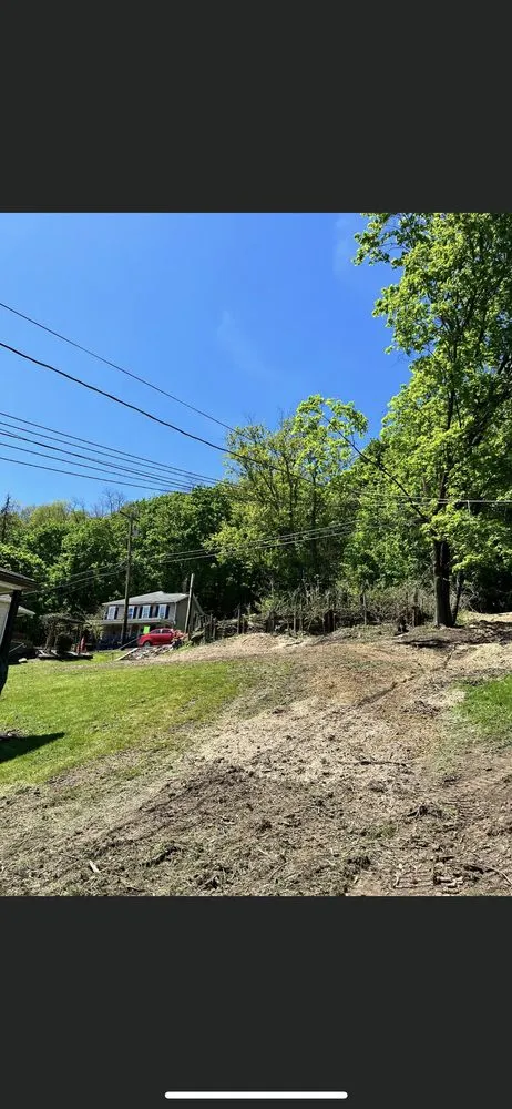 Custom yard maintenance experts serving Kittanning, PA - Barton's Tree and Property Care