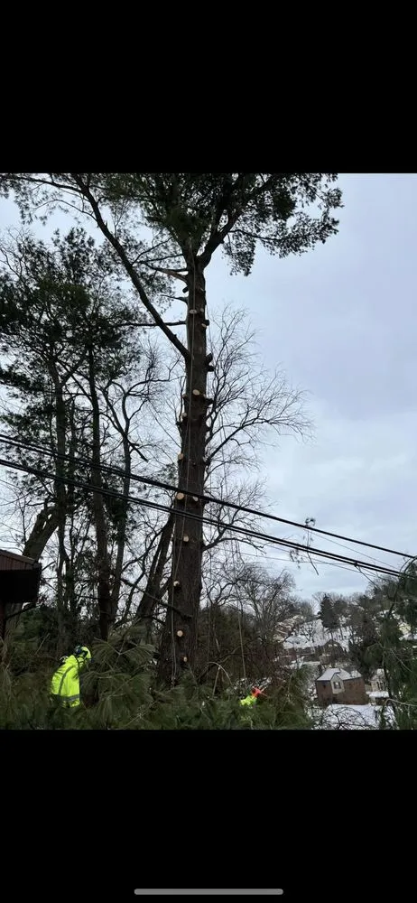 Custom yard maintenance in Kittanning, PA - Barton's Tree and Property Care