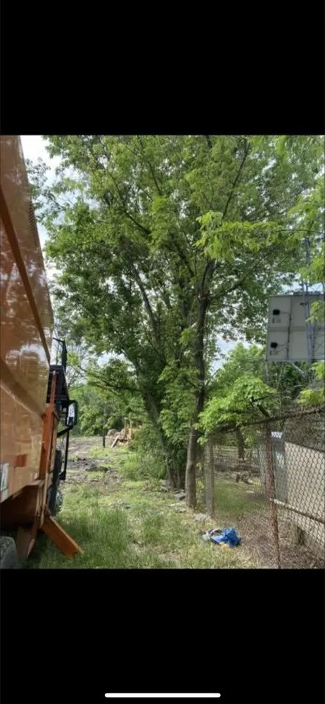 Trusted landscaping services near you in Kittanning, PA by Barton's Tree and Property Care