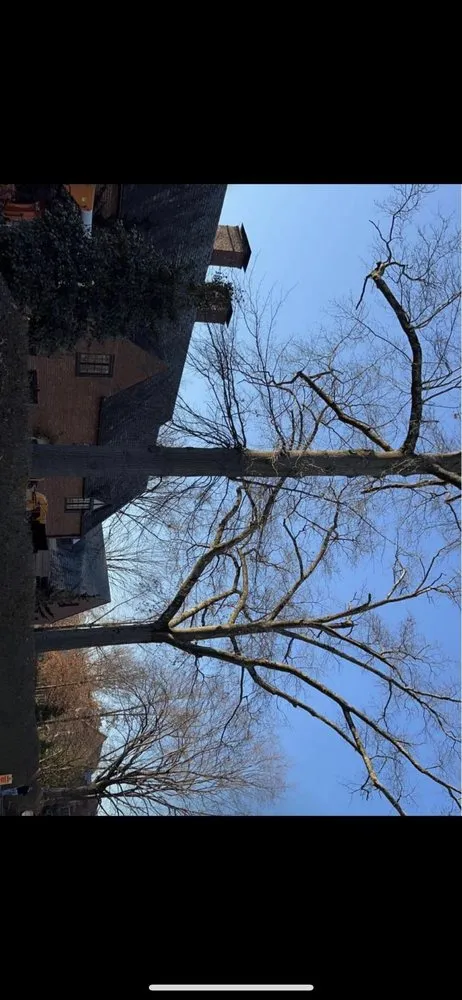 Expert landscape design for residential properties across Kittanning, PA - Barton's Tree and Property Care