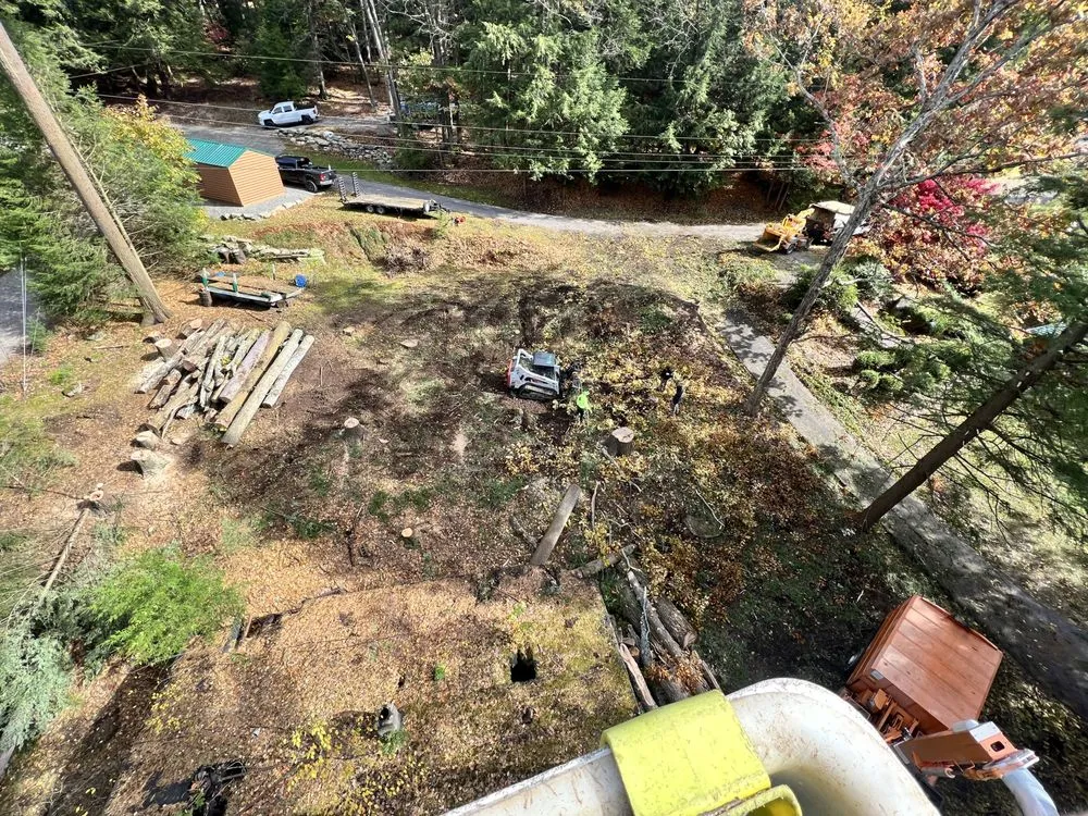 Reliable yard cleanup service in Kittanning, PA by Barton's Tree and Property Care