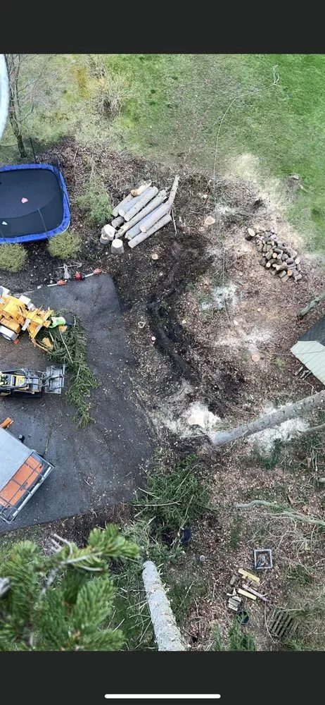 Local yard cleanup service in Kittanning, PA - Barton's Tree and Property Care