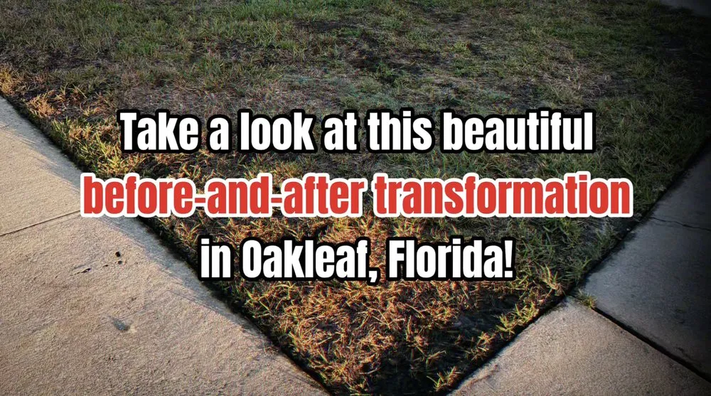 Affordable lawn care service for beautiful yards in Green Cove Springs, FL by Barton's Turf Management