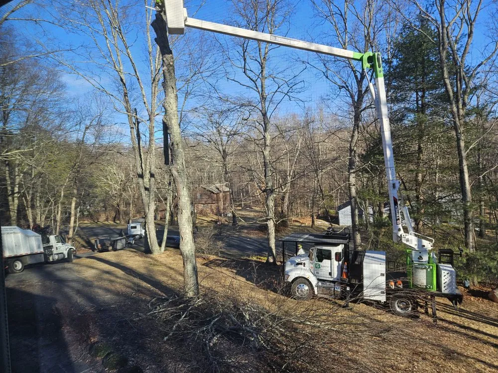 Local outdoor landscaping for year-round maintenance across Woodbury, CT - Barts Tree Service