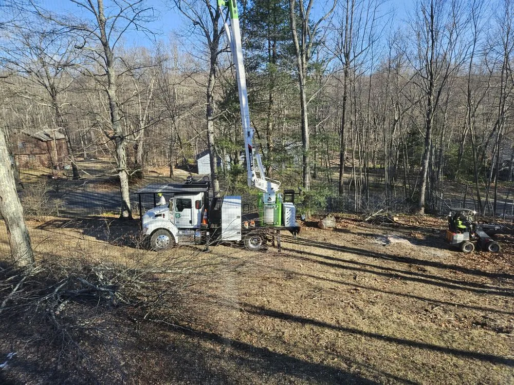 Expert lawn mowing service with custom design in Woodbury, CT by Barts Tree Service