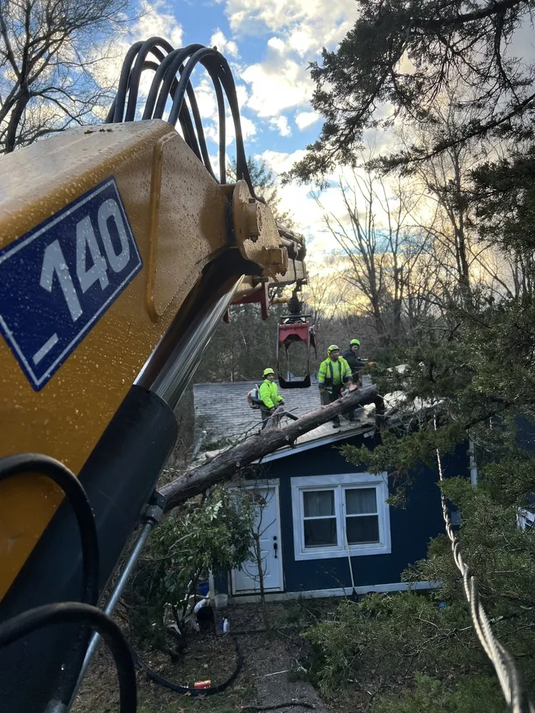 Professional yard cleanup service in Woodbury, CT by Barts Tree Service