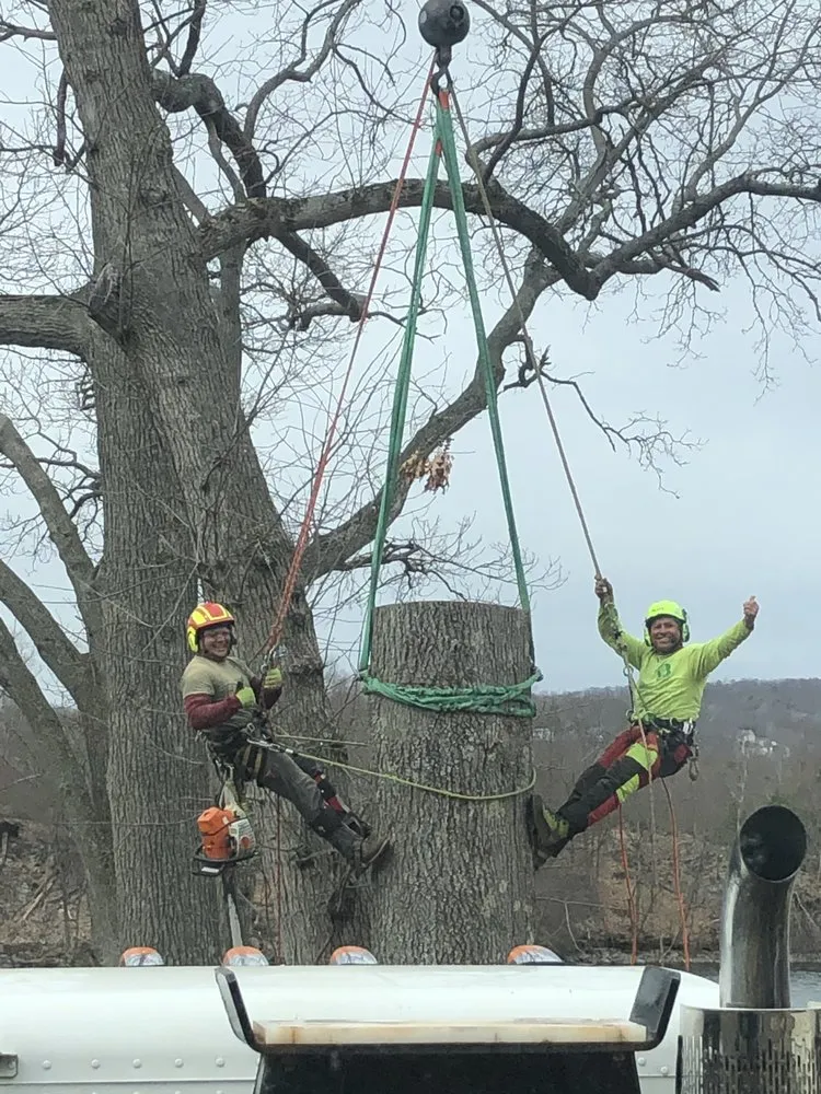 Top-rated yard cleanup service experts serving Woodbury, CT - Barts Tree Service