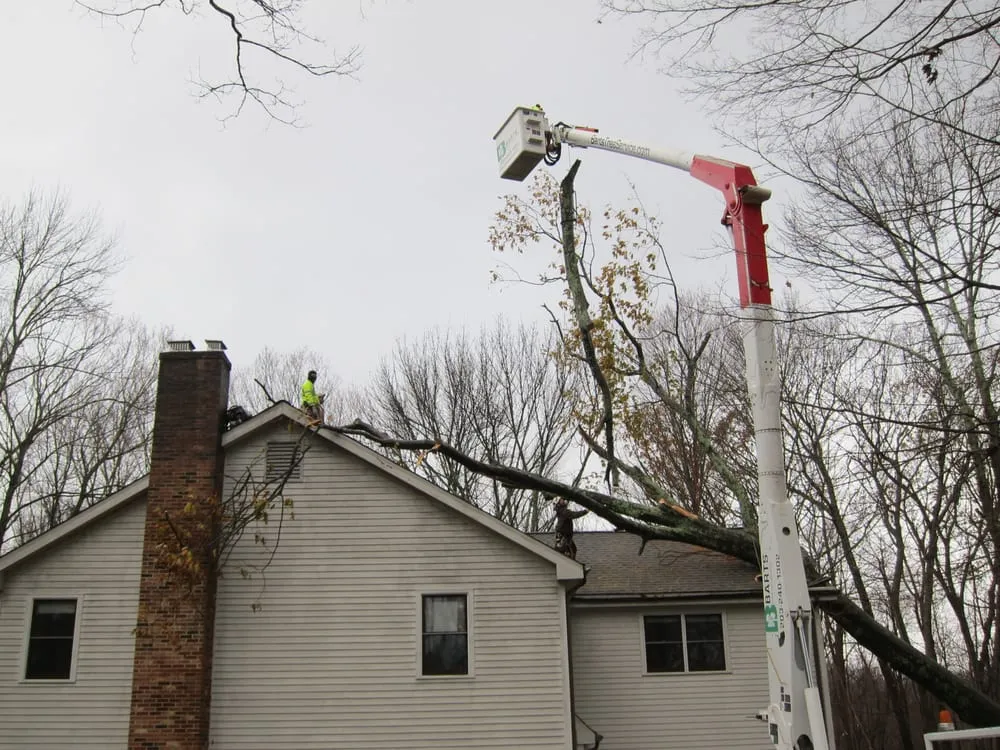 Expert landscape installation in Woodbury, CT by Barts Tree Service