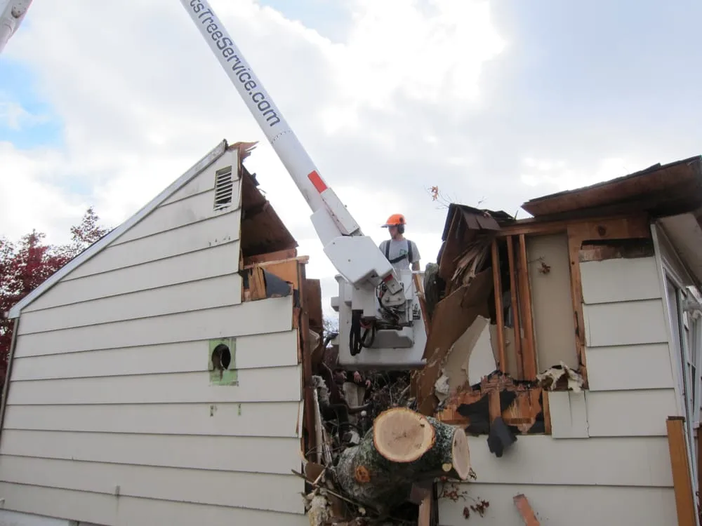 Professional residential landscaping in Woodbury, CT by Barts Tree Service