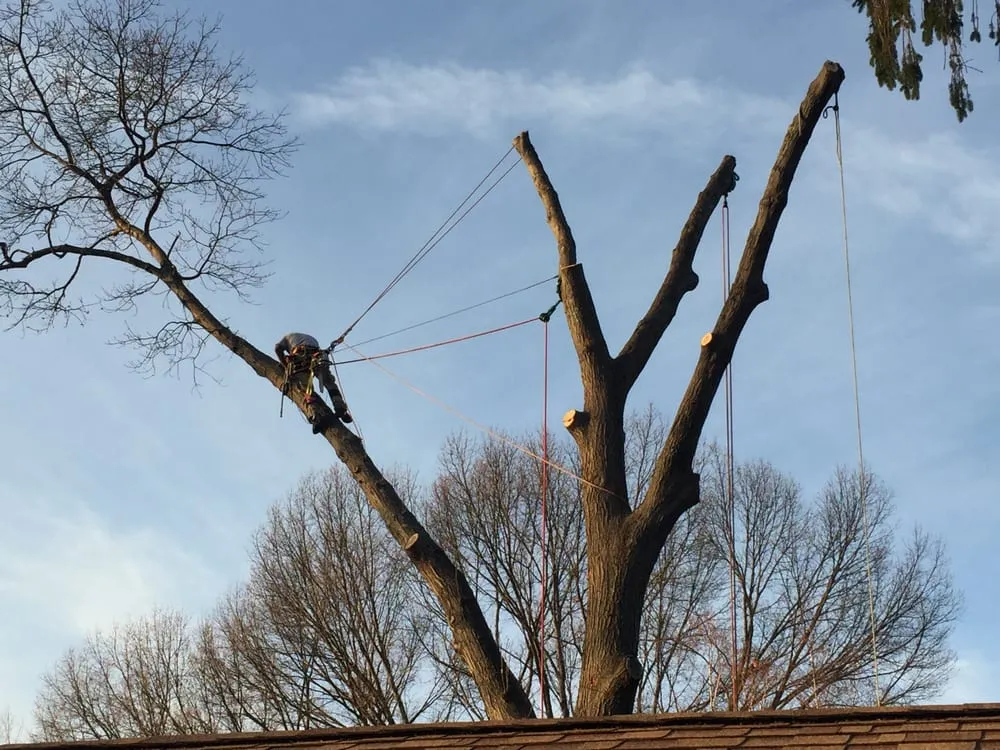 Reliable landscape installation in Woodbury, CT by Barts Tree Service