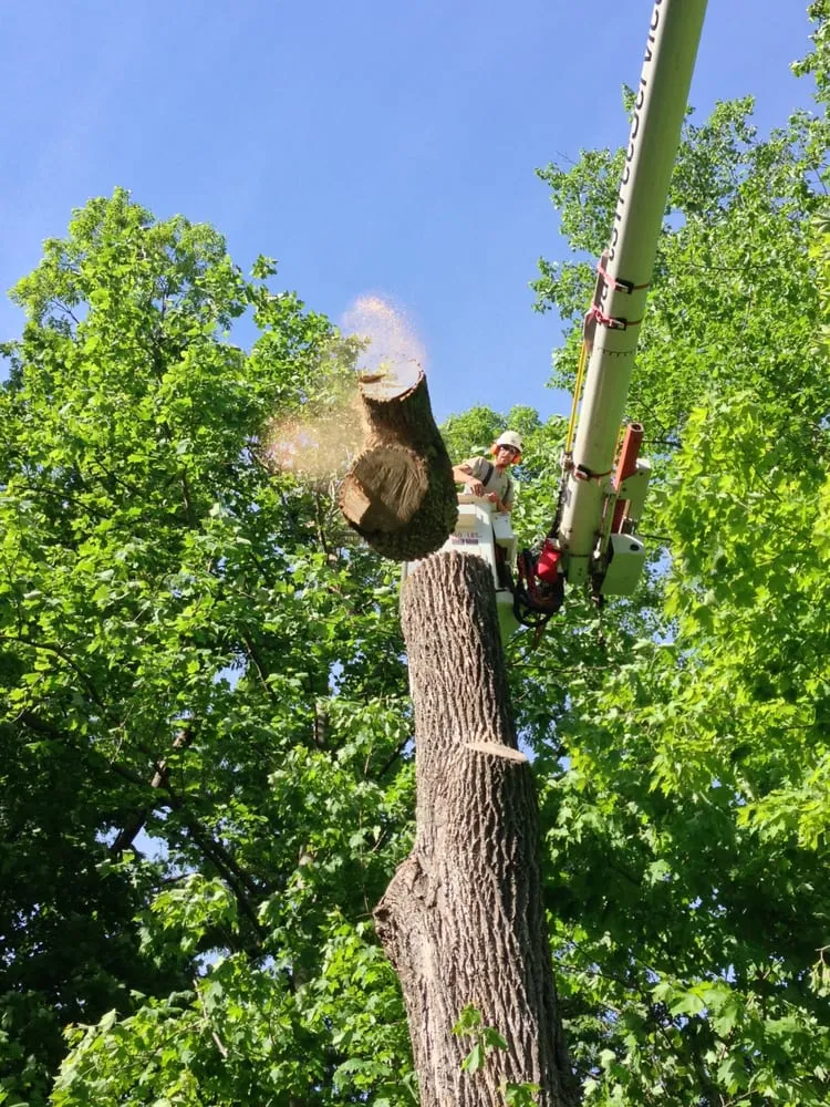 Affordable landscape design experts serving Woodbury, CT - Barts Tree Service