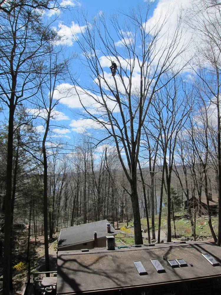 Custom lawn care service experts serving Woodbury, CT - Barts Tree Service