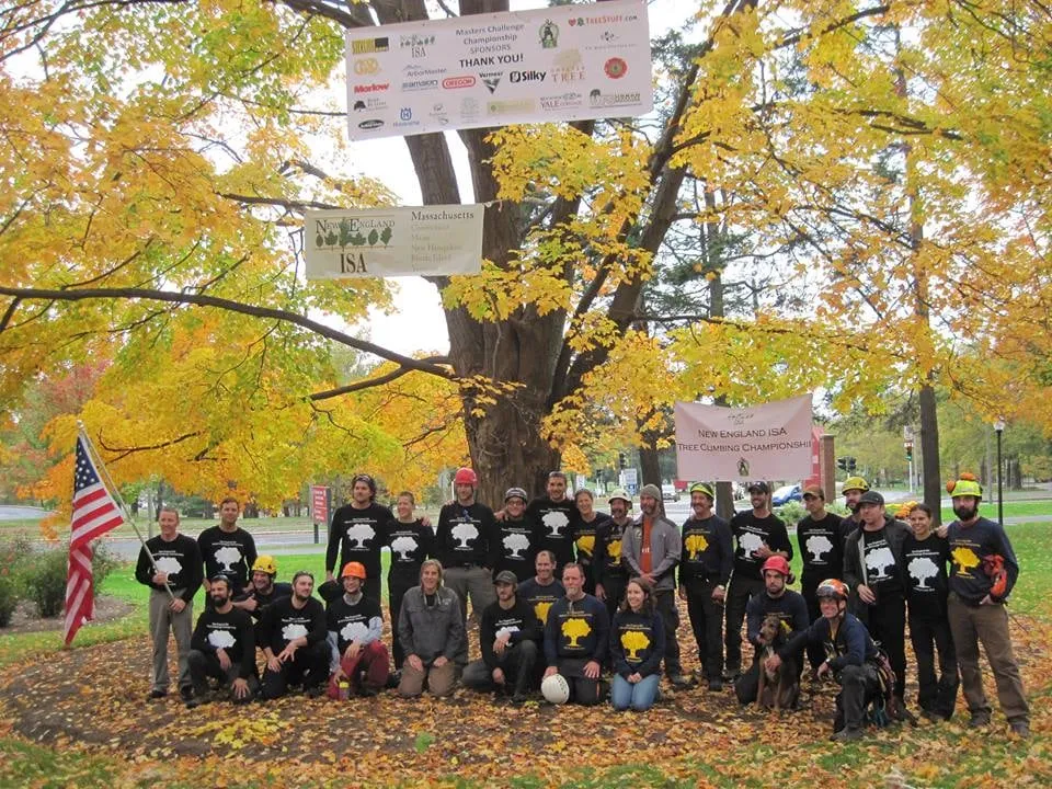 Professional yard cleanup service for beautiful yards across Woodbury, CT - Barts Tree Service