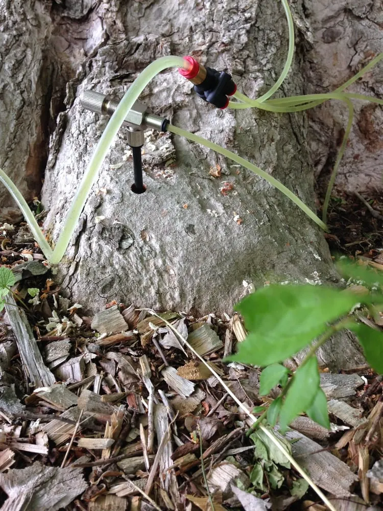 Professional outdoor landscaping for beautiful yards in Woodbury, CT by Barts Tree Service