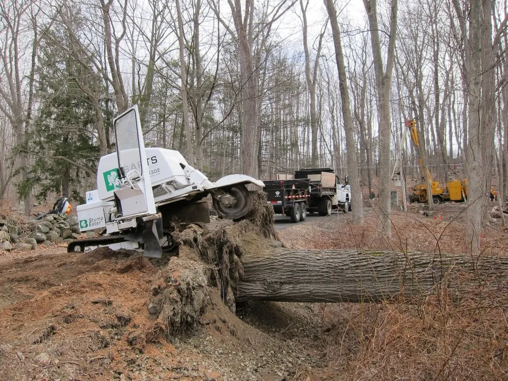 Top-rated lawn mowing service in Woodbury, CT - Barts Tree Service