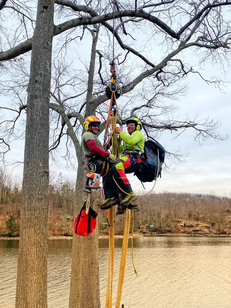 Affordable lawn care service experts serving Woodbury, CT - Barts Tree Service
