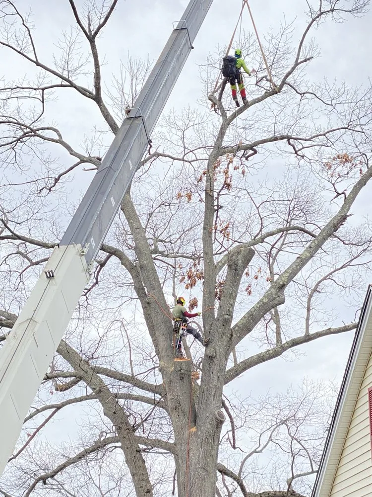 Local garden landscaping in Woodbury, CT by Barts Tree Service