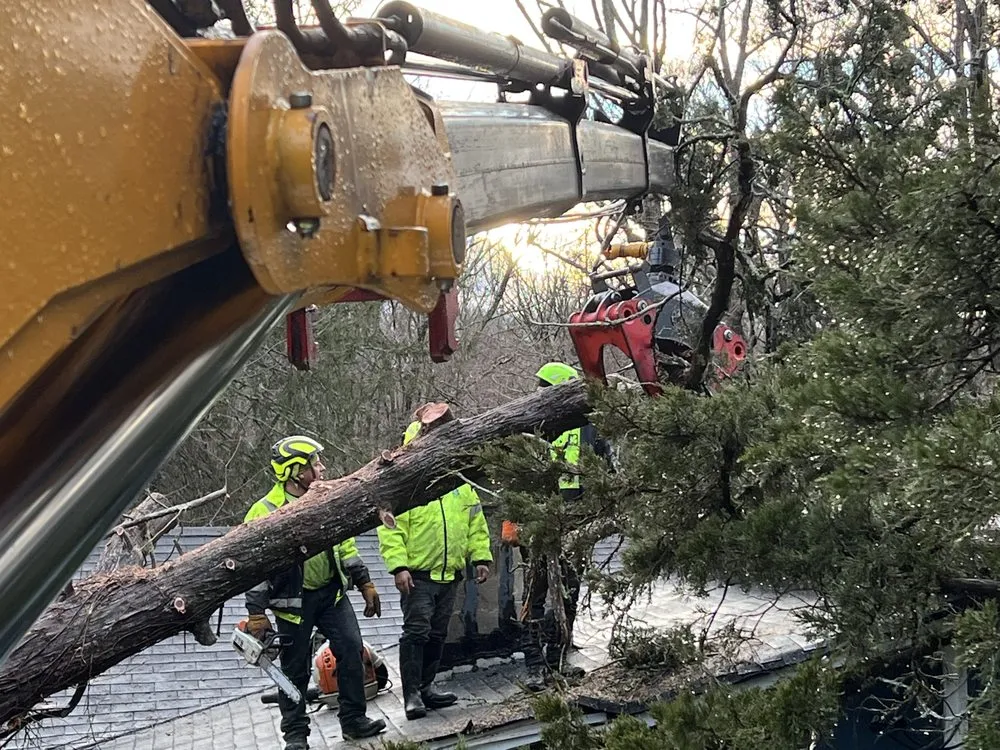 Affordable landscaping services for residential properties in Woodbury, CT by Barts Tree Service