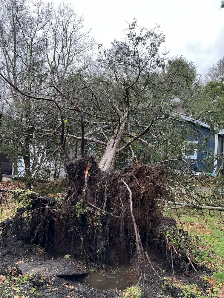 Reliable garden landscaping in Woodbury, CT - Barts Tree Service