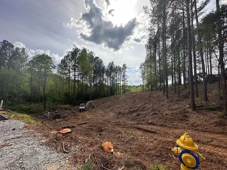 Trusted landscaping services in Smock, PA by Baruch Amaya