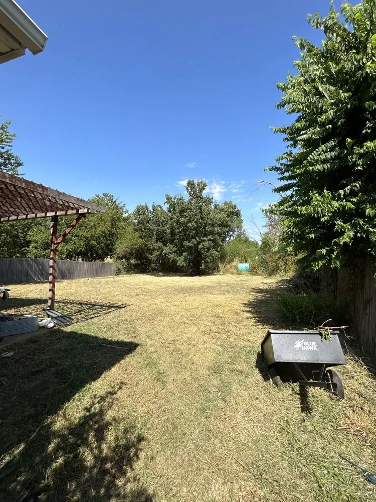 Reliable landscaping services in Moore, OK by Barwick Lawns