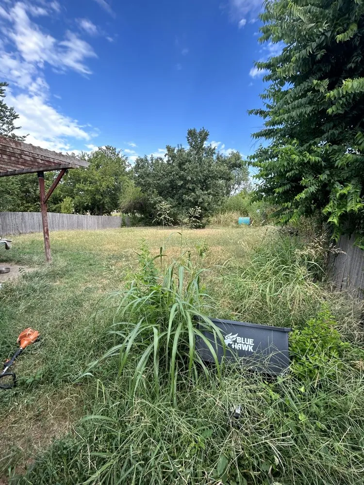 Expert yard maintenance in Moore, OK - Barwick Lawns