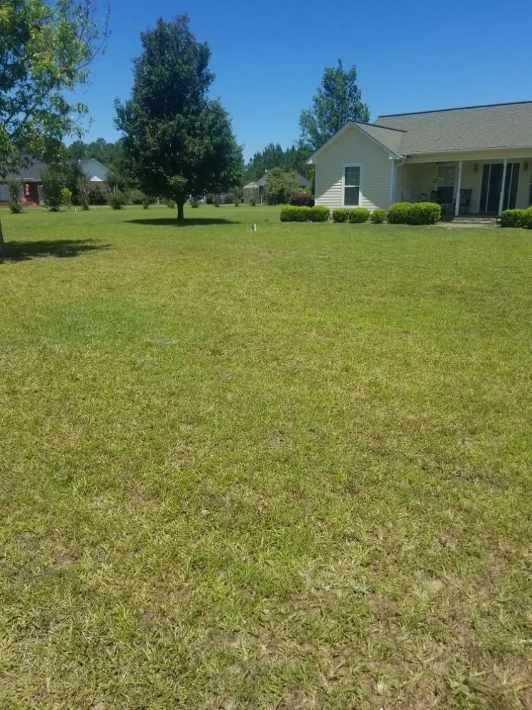 Reliable yard cleanup service in Vidalia, GA by Barwicks Lawn Services